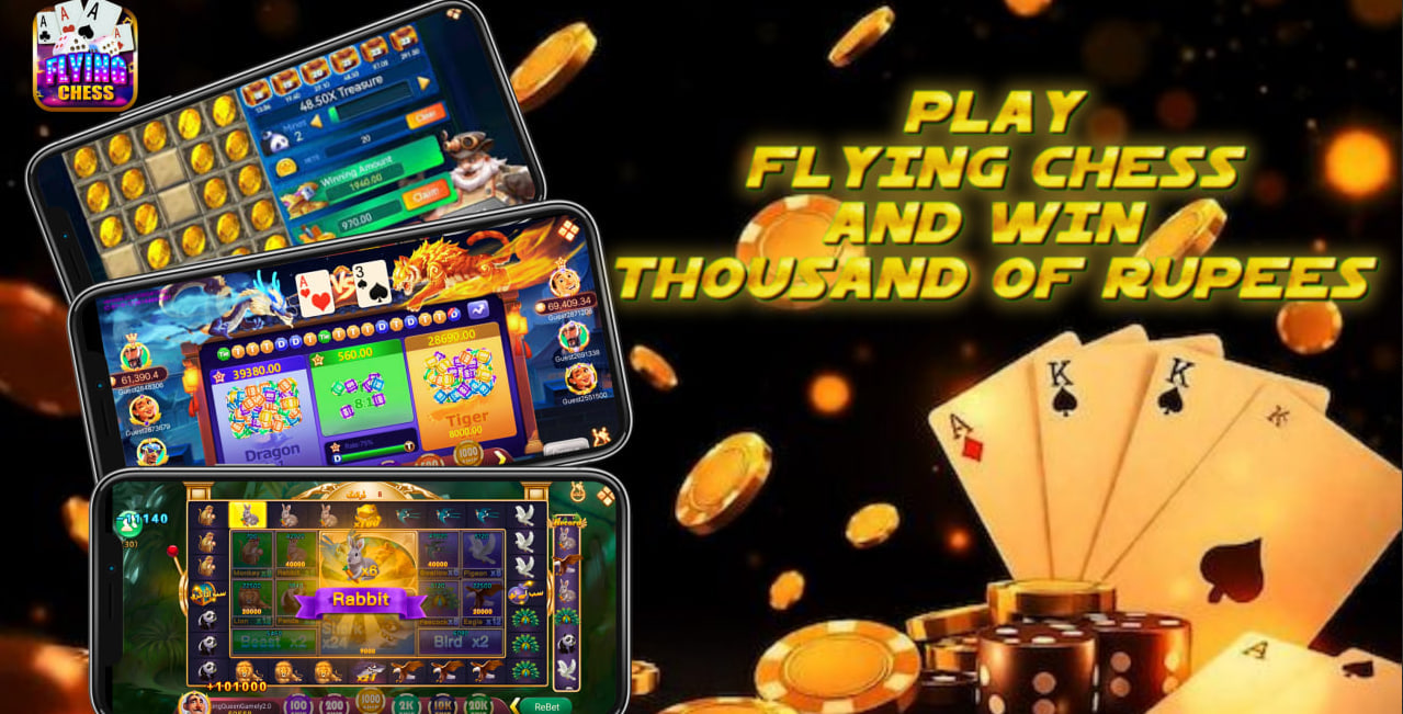 Flying Chess Pakistan